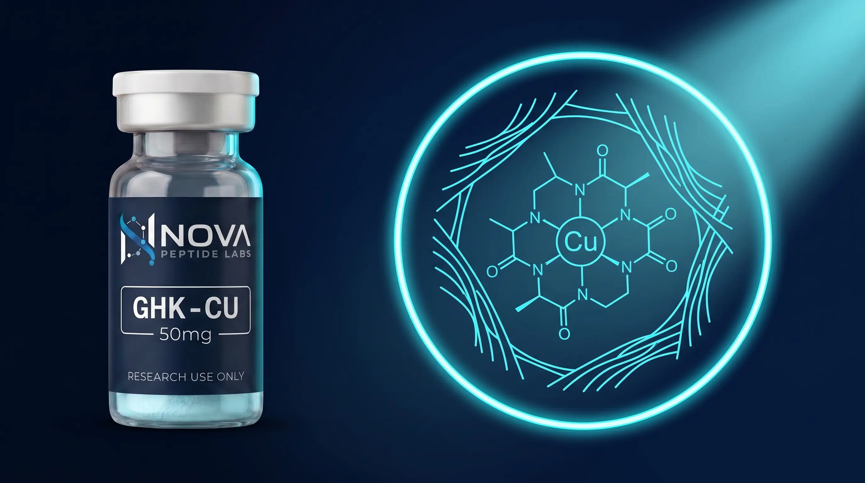 GHK-Cu : le tripeptide cuivre en recherche de régénération cellulaire