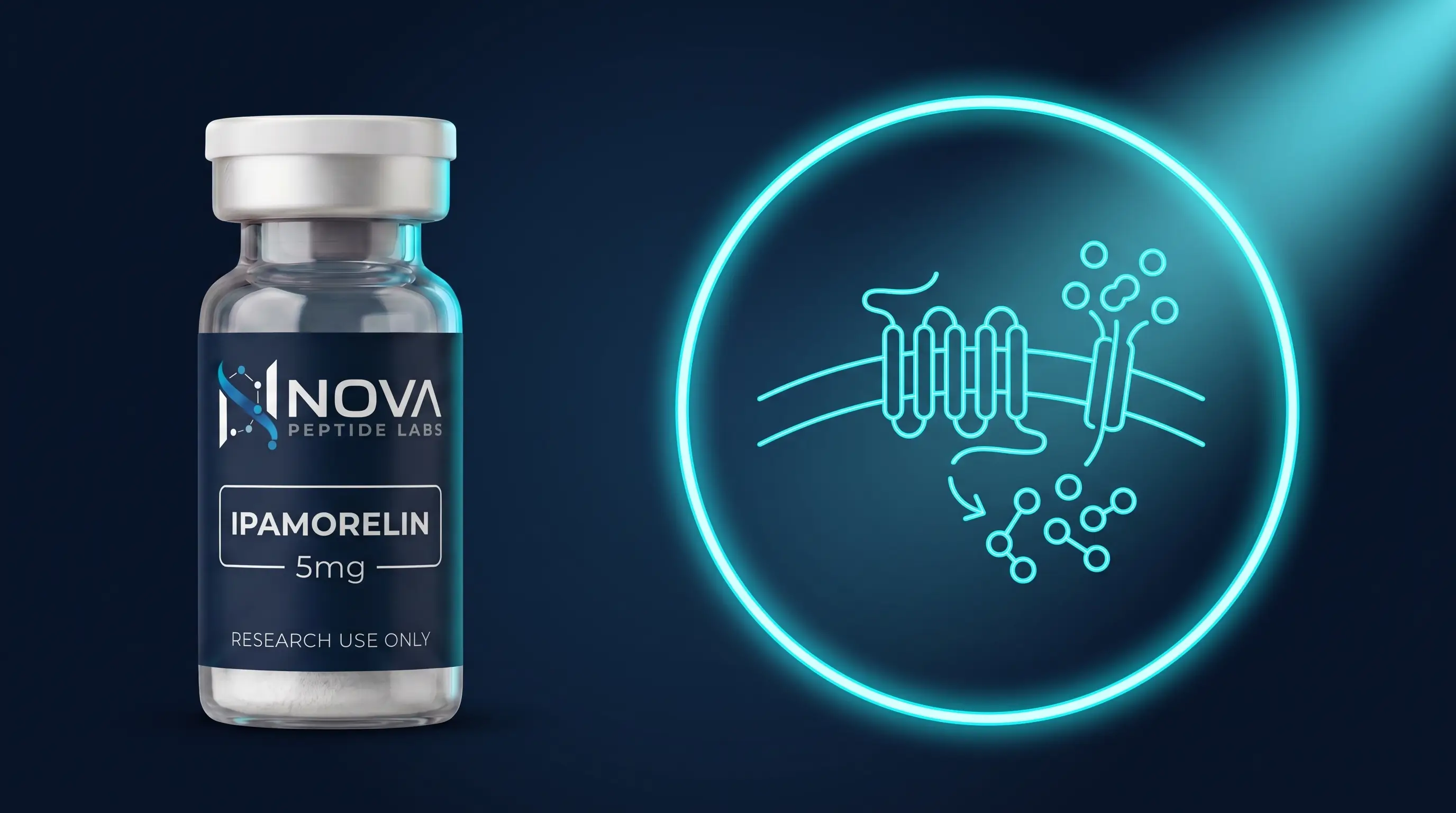 Ipamorelin : sécrétagogue GHS-R1a sélectif en recherche