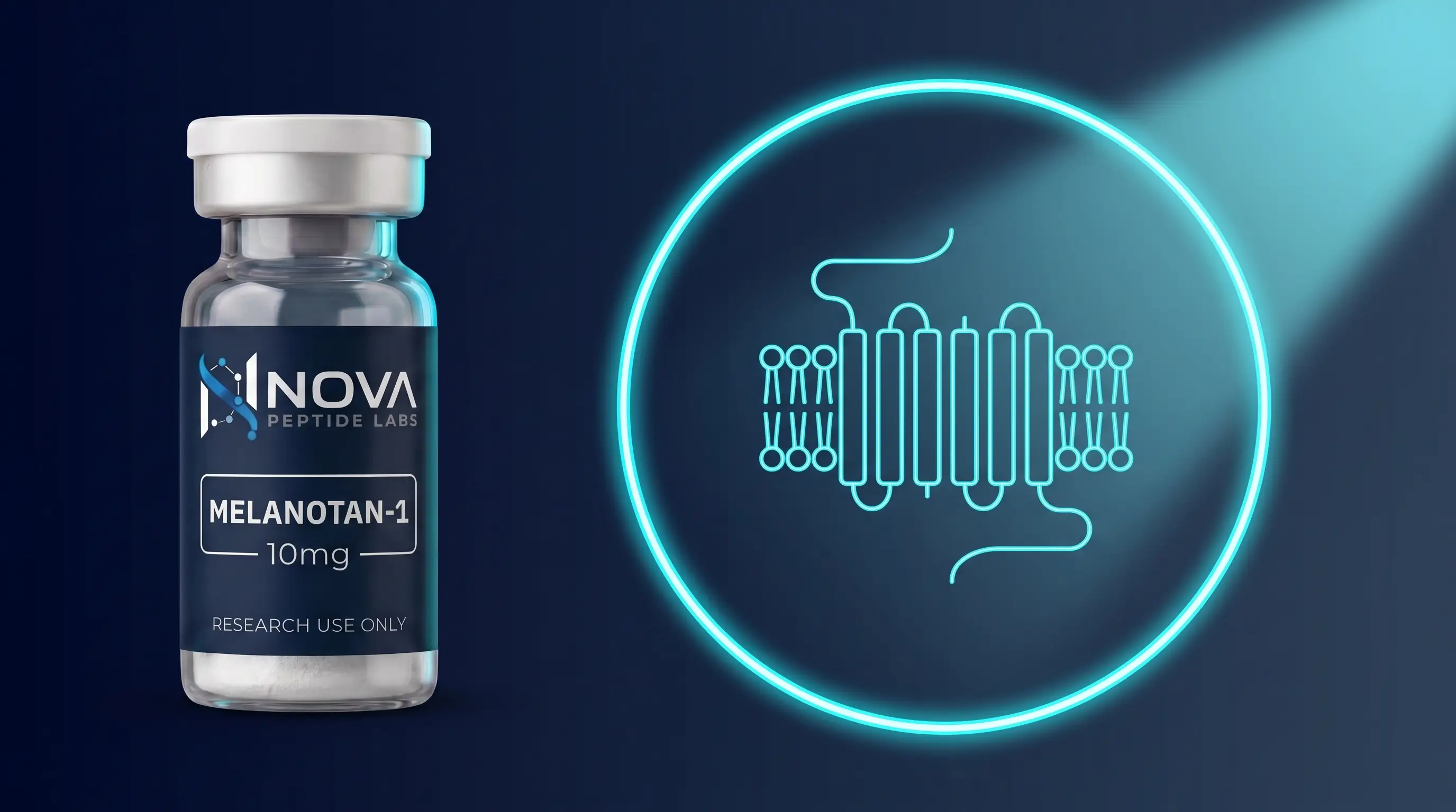 Melanotan-1 vs Melanotan-2 : sélectivité des récepteurs mélanocortine