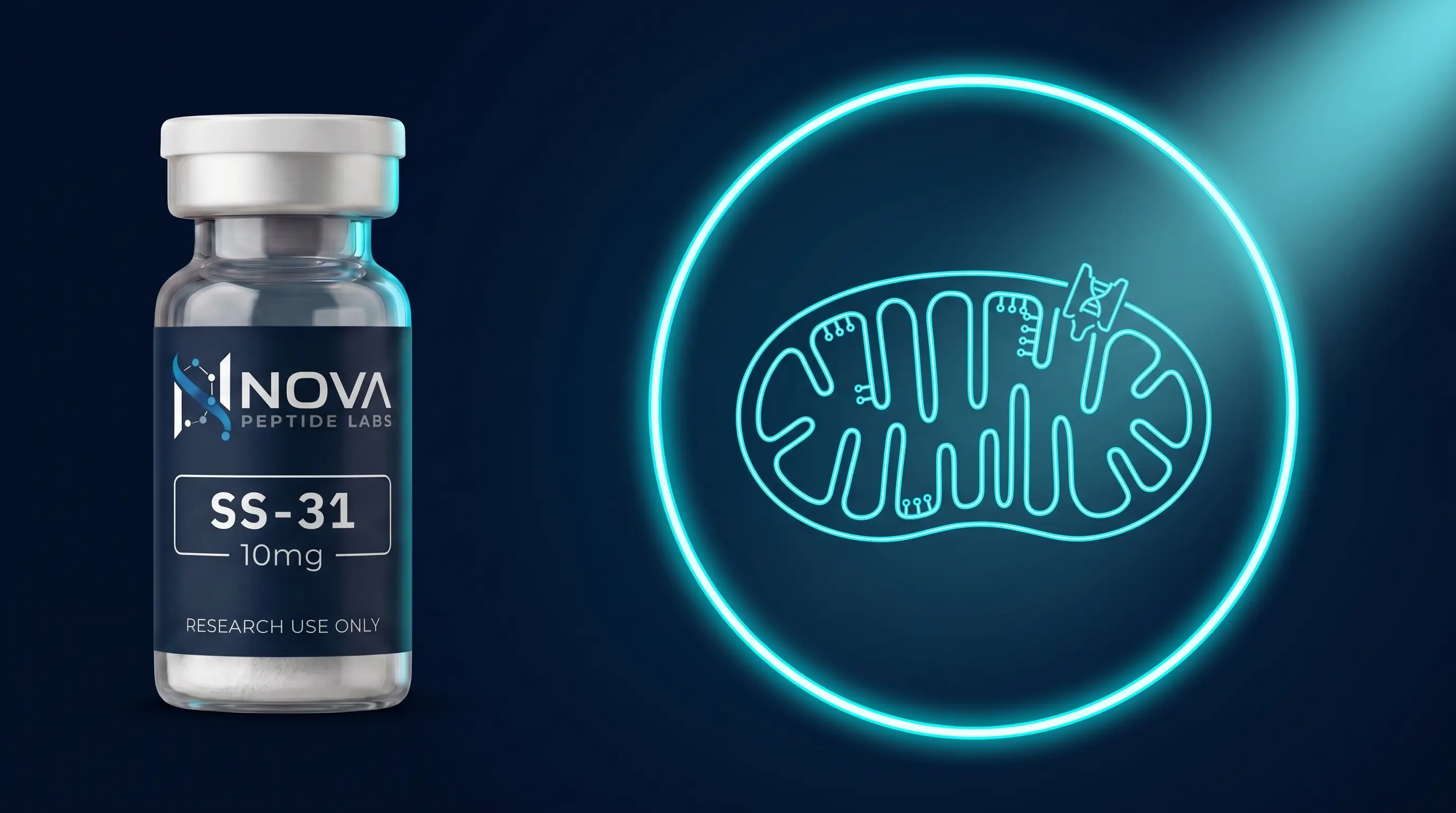 SS-31 (élamiprétide) : ciblage de la cardiolipine mitochondriale