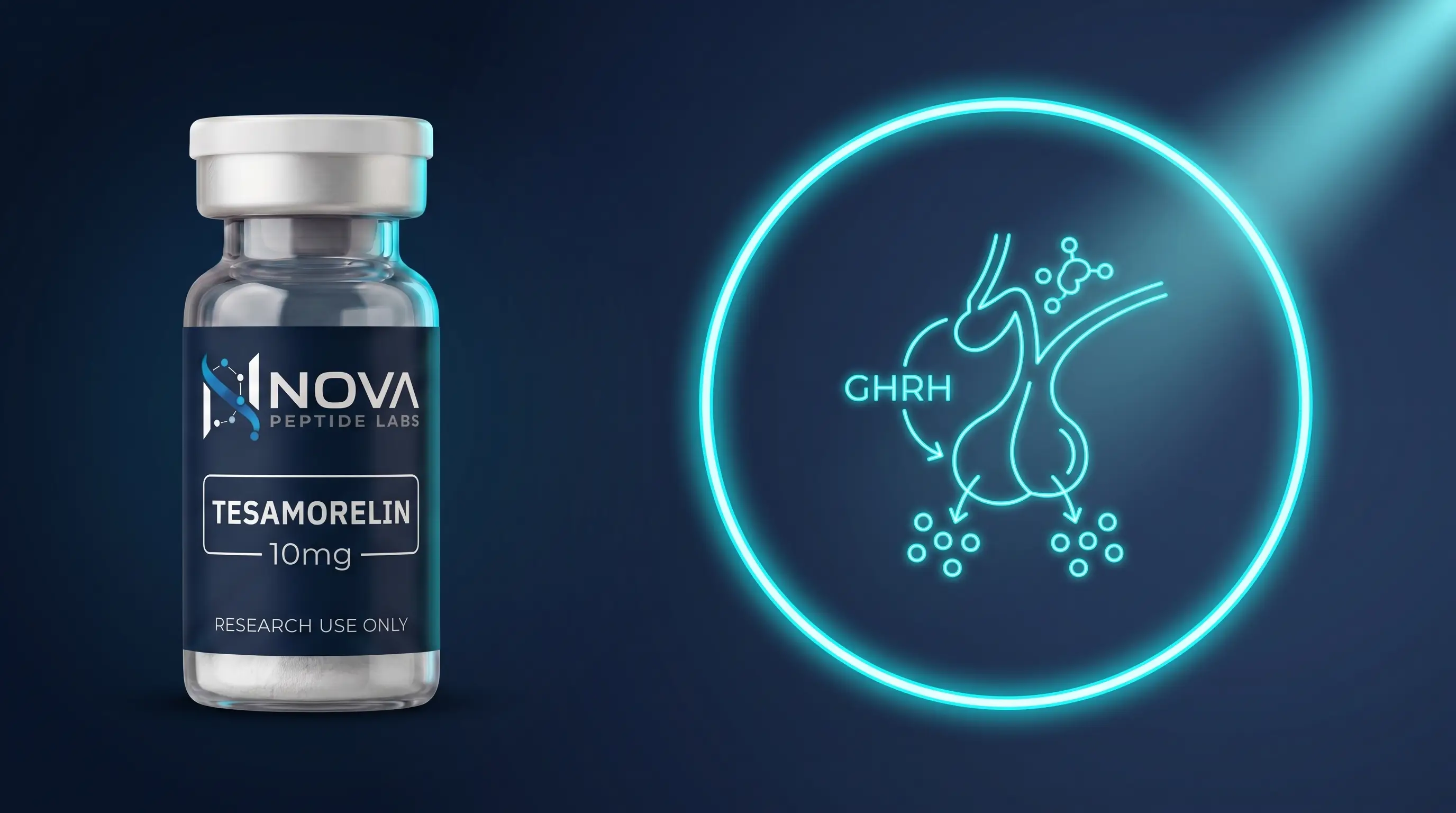 Tesamorelin : analogue GHRH stabilisé en recherche somatotrope